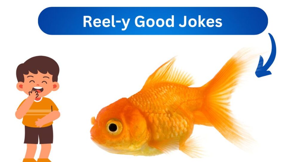 Reel-y Good Jokes