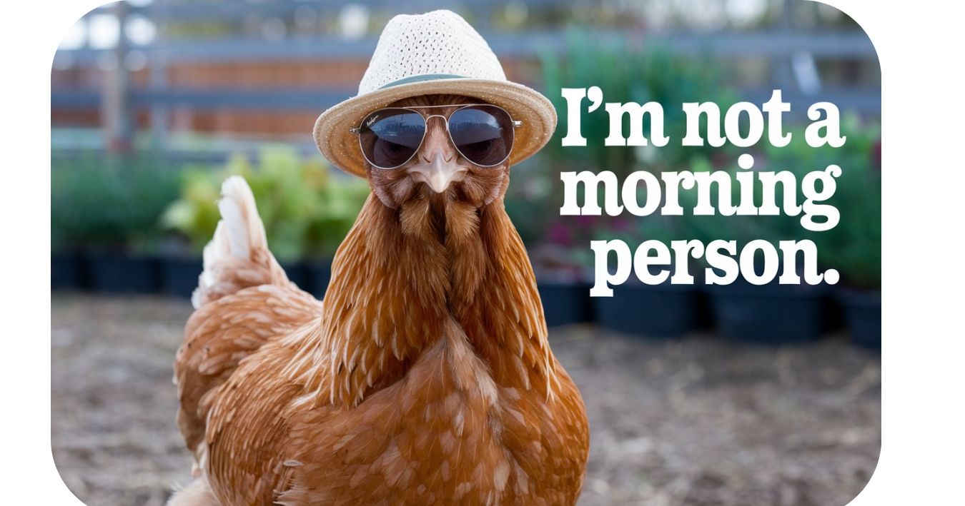 300 Chicken Puns That Are Eggs-traordinary!